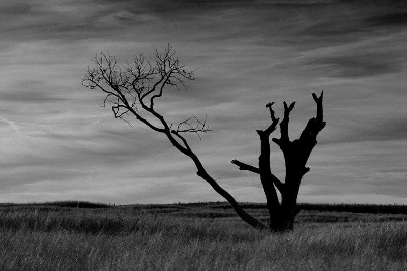 US Tax System: The Impact of Investor Tax Breaks on Wealth Inequality