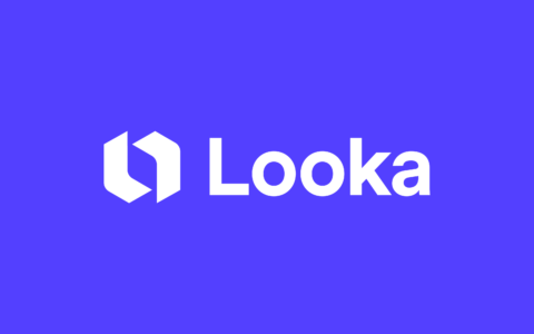 Looka: AI-Powered Logo Maker That Delivers Professional Quality Results on a Budget