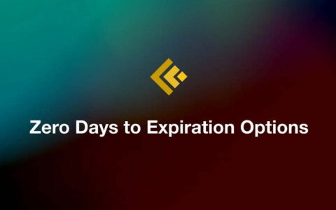 From Quarterly to Quotidian: The Rise of Same Day Options Trading (0DTE)