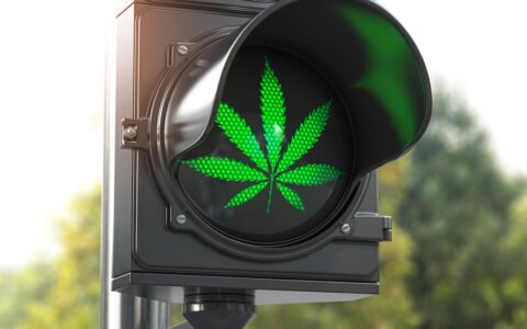 Cannabis Unleashed: Legalization in the US and Canada and the Top 5 Cannabis Stocks to Watch