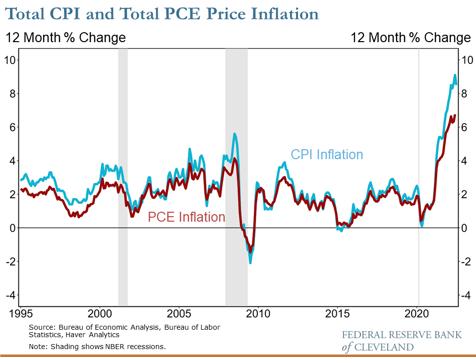 Understanding the PCE and CPI Indices: The Key Differences and Implications for Investors