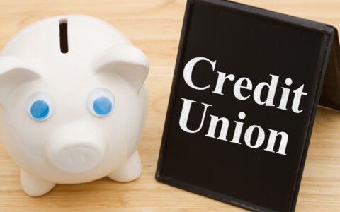 Review: Navigating the World of Credit Union Loans