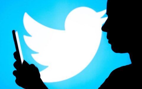 Twitter Ads Uncovered: An In-depth Review, Efficiency Analysis, and Implementation Guide