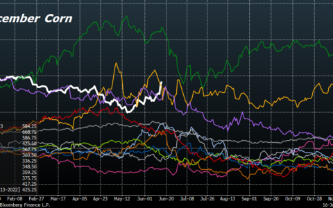 Weathering the Storm: The Impact of Adverse Conditions on Corn and Soybean Investments