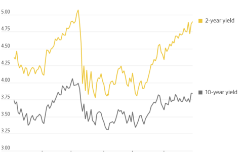 Riding the Yield Curve: How Treasury Bonds Signal Economic Optimism Amid Uncertainty