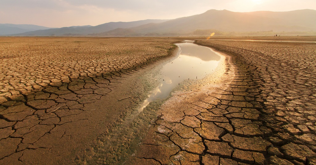 Riding the Drought Wave: How Climate Variability Shapes Winners and Losers in U.S. Agriculture