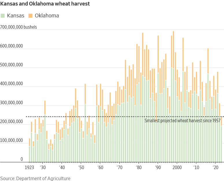 Drought and Inflation: A Looming Threat to Global Food Security