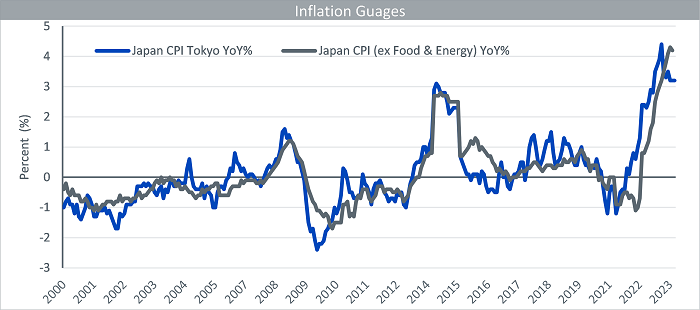 Balancing Act: Bank of Japan's Slow Dance with Yield Curve Control Policy