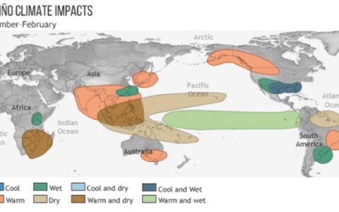 El Niño’s Embrace: Unraveling Its Impact on Global Commodities
