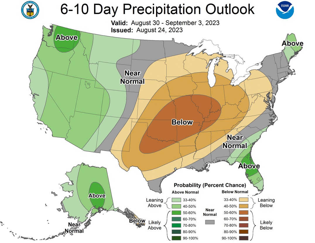 Soybean Crop Crisis: Battling Heatwaves, Dry Spells, and Uncertain Yields