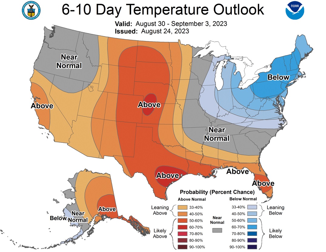 Soybean Crop Crisis: Battling Heatwaves, Dry Spells, and Uncertain Yields