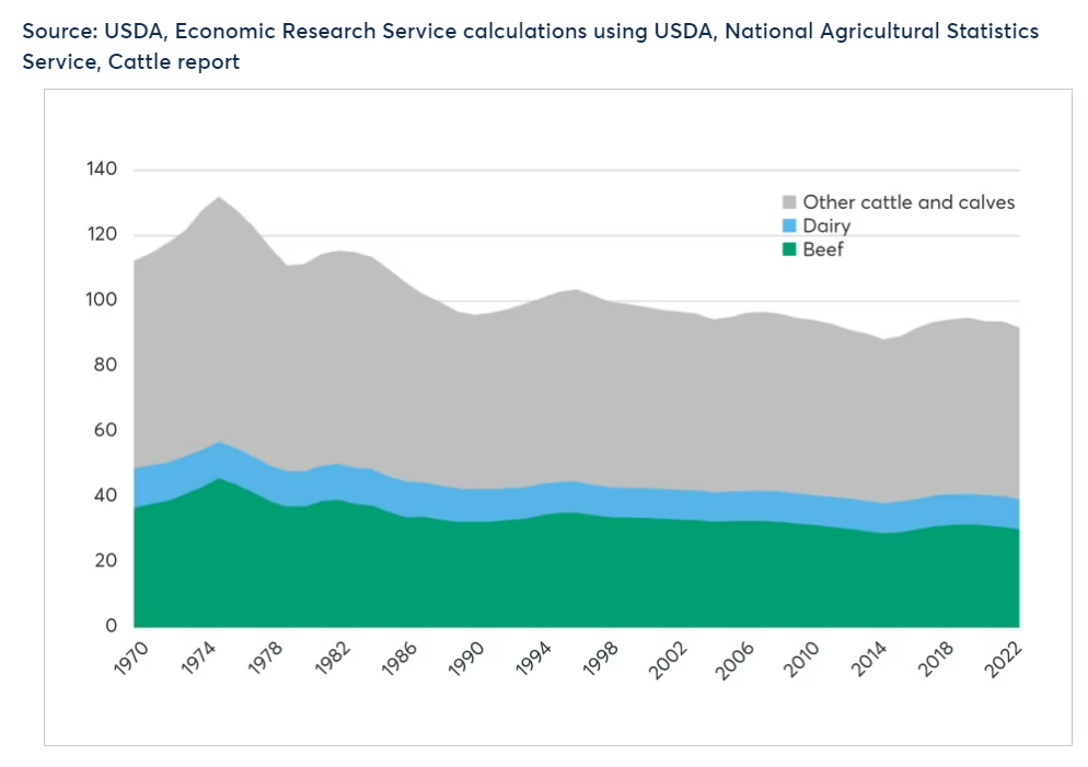 Deciphering the Dynamics: The Ongoing Evolution of the U.S. Cattle Cycle