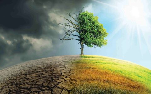 Climate Change: The Unprecedented Financial Frontier of the 21st Century