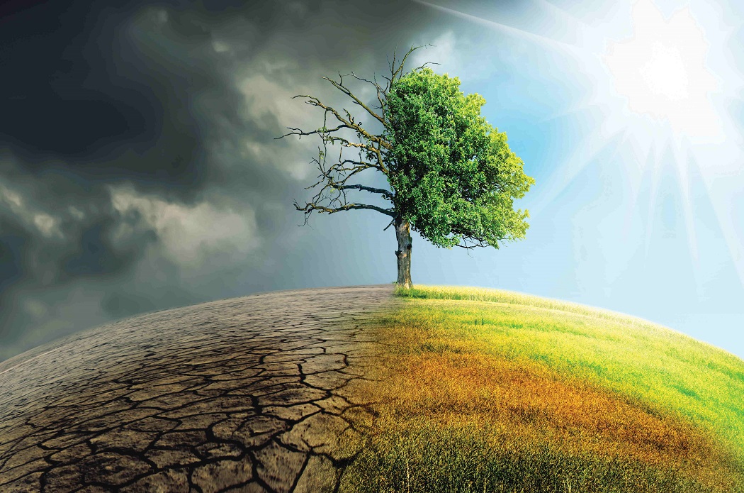 Climate Change: The Unprecedented Financial Frontier of the 21st Century