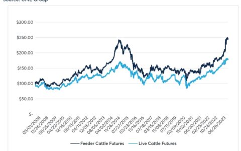 Deciphering the Dynamics: The Ongoing Evolution of the U.S. Cattle Cycle