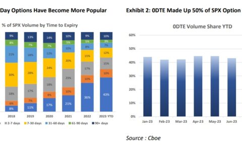 Unraveling the SPX 0DTE Enigma: Beyond Volume to True Market Impact