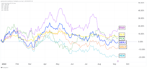 Golden Misconceptions: Decoding the Dips and Trends in Today's Gold Market