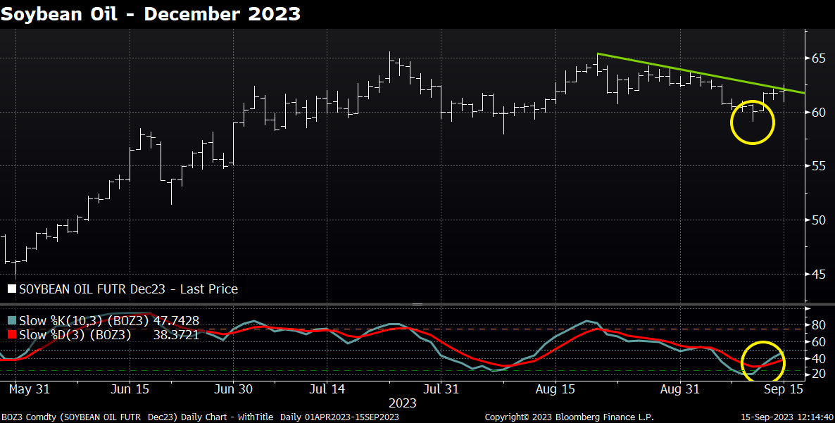 Navigating the Soybean and Soybean Oil Market: Insights from the Latest USDA Report