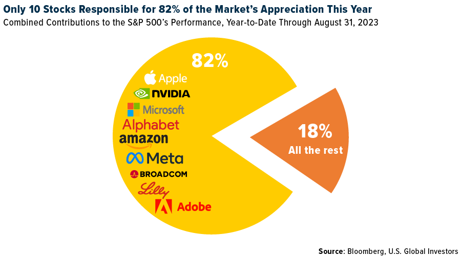 Unmasking the 401(k): Tech Titans, Diversification, and the Pending Commodities Surge