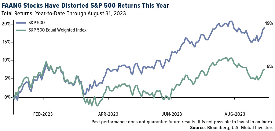 Unmasking the 401(k): Tech Titans, Diversification, and the Pending Commodities Surge