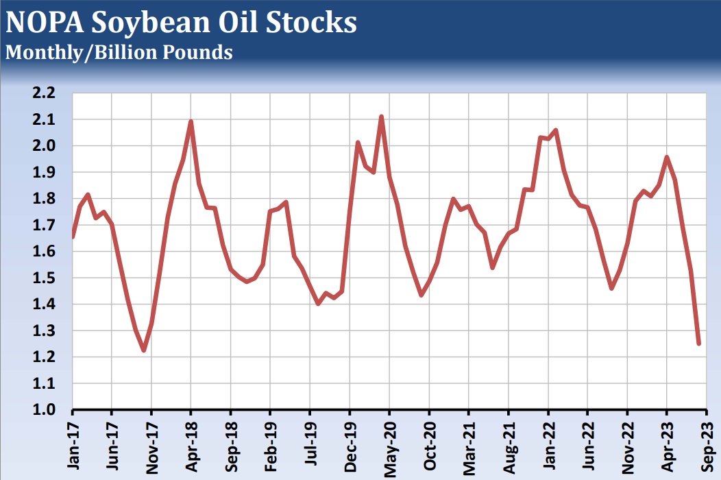 Navigating the Soybean and Soybean Oil Market: Insights from the Latest USDA Report