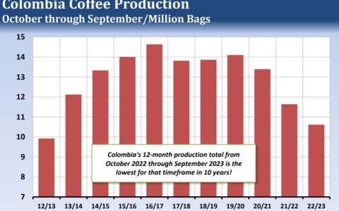 Brewing the Future: Analyzing Coffee’s Recent Price Trends