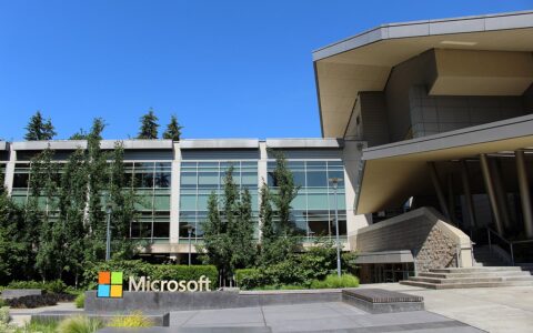 Seizing Opportunity: How to Play a Potential Market Bounce with Microsoft