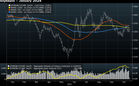 Soybean Surge: Unpacking the Brightening Demand Picture