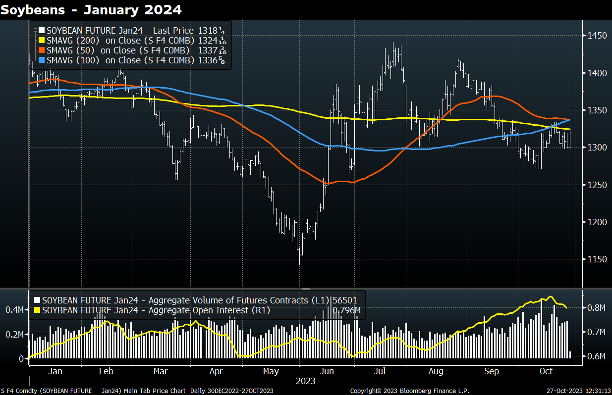 Soybean Surge: Unpacking the Brightening Demand Picture